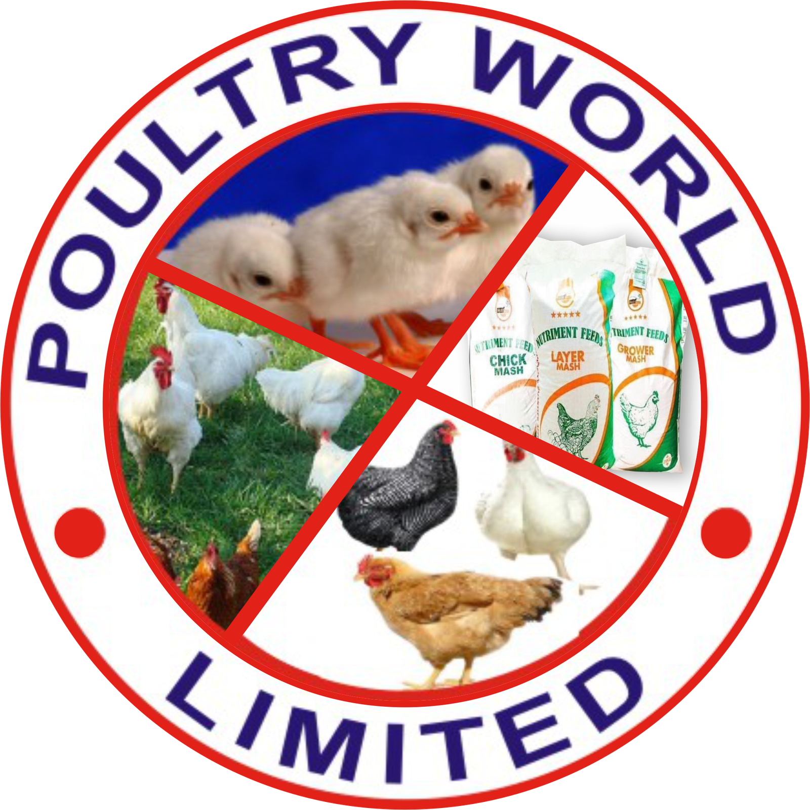 POULTRY WORLD